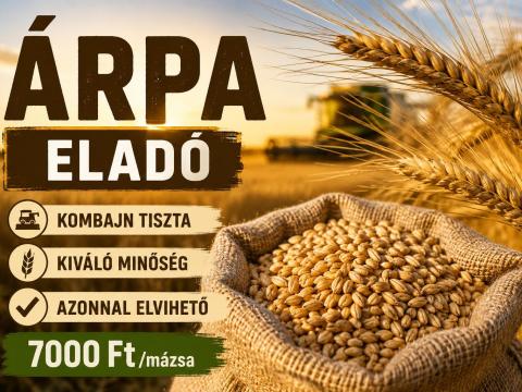 Árpa eladó közvetlenül termelőtől