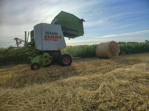 Claas Rollant 66 Claas Rollant 66