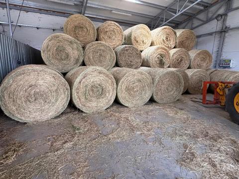 Lucerna körbála bála Lucerna körbála bála