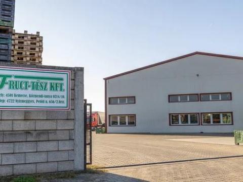 Nemes bodza átvétel Nyírmeggyesen