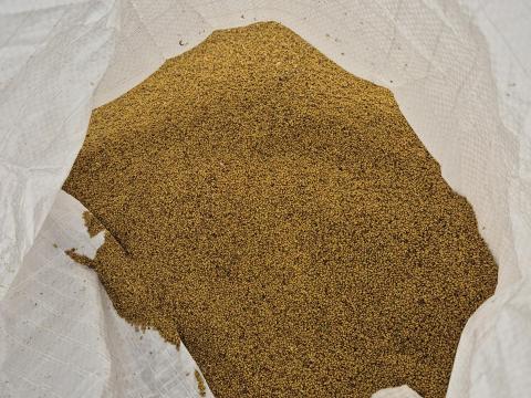 Lucerna mag Lucerna mag
