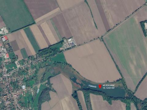 Halastó