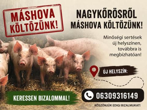Malacok Malacok