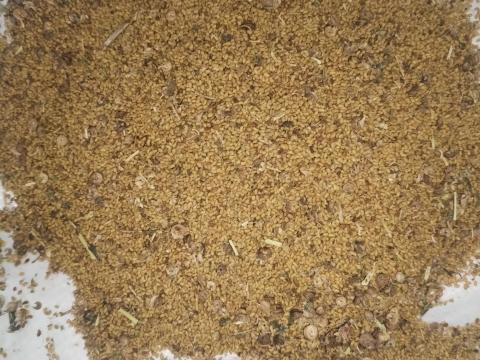 Lucernamag Lucernamag