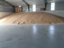 Triticale