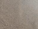 Triticale