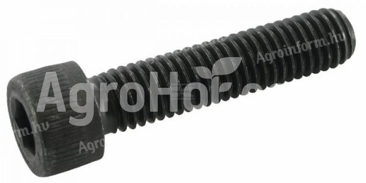 Kramp Belső hatlap csavar M24x50 12,9B