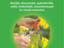 Kaszab László: Metszés - Díszfák, díszcserjék, gyümölcsfák, szőlő, örökzöldek kúszónövények és rózsák metszése