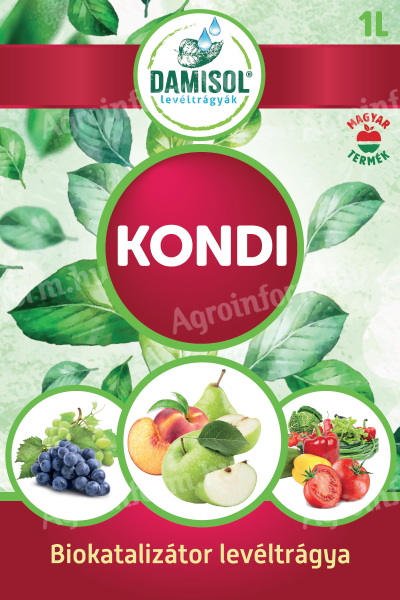 DAMISOL KONDI 1 L