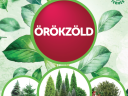 DAMISOL ÖRÖKZÖLD 1 L
