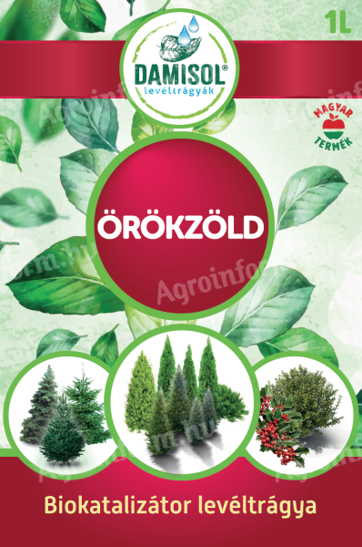 DAMISOL ÖRÖKZÖLD 1 L