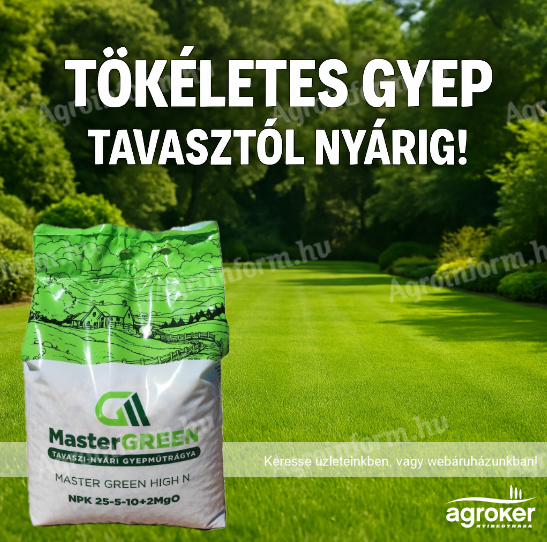 MASTERGREEN HIGH N 25/5/10+2MGO+S 5 KG