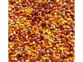 Kukorica mix (kimérve/kg)