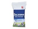 SALVANA Salvanclean