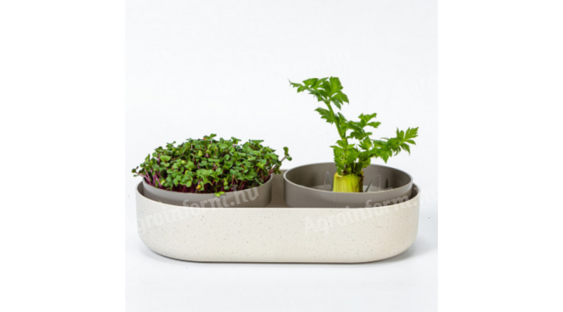 Plastia Microgreens + ReGrow csíráztató edény (dupla)