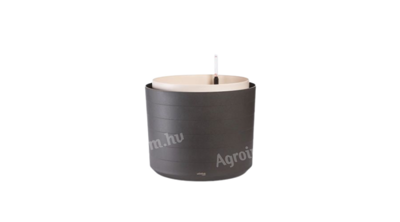 Plastia cserép Berberis 26 cm antracit-e.csont