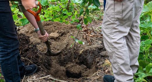 25. éves lett az Agrocontrol – jubileumi faültetés 25. éves lett az Agrocontrol – jubileumi faültetés