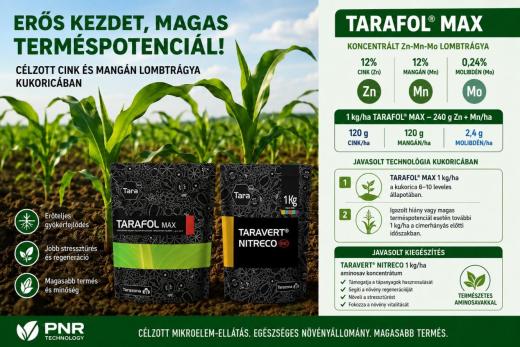 Cink–mangán lombtrágyázás kukoricában – 240 g Zn + Mn hektáronként Cink–mangán lombtrágyázás kukoricában – 240 g Zn + Mn hektáronként
