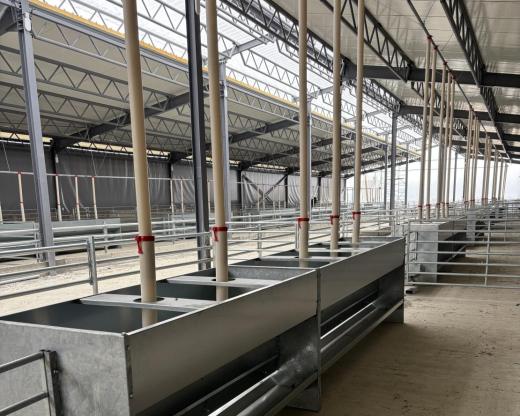 Komplett juhistálló-technológia Romániában Komplett juhistálló-technológia Romániában