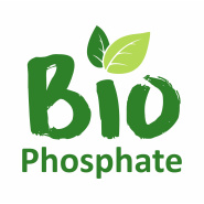 biochar
